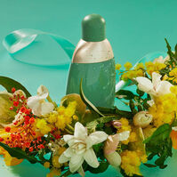 EDEN 50ml-62733 EDEN 50ml-62733 1